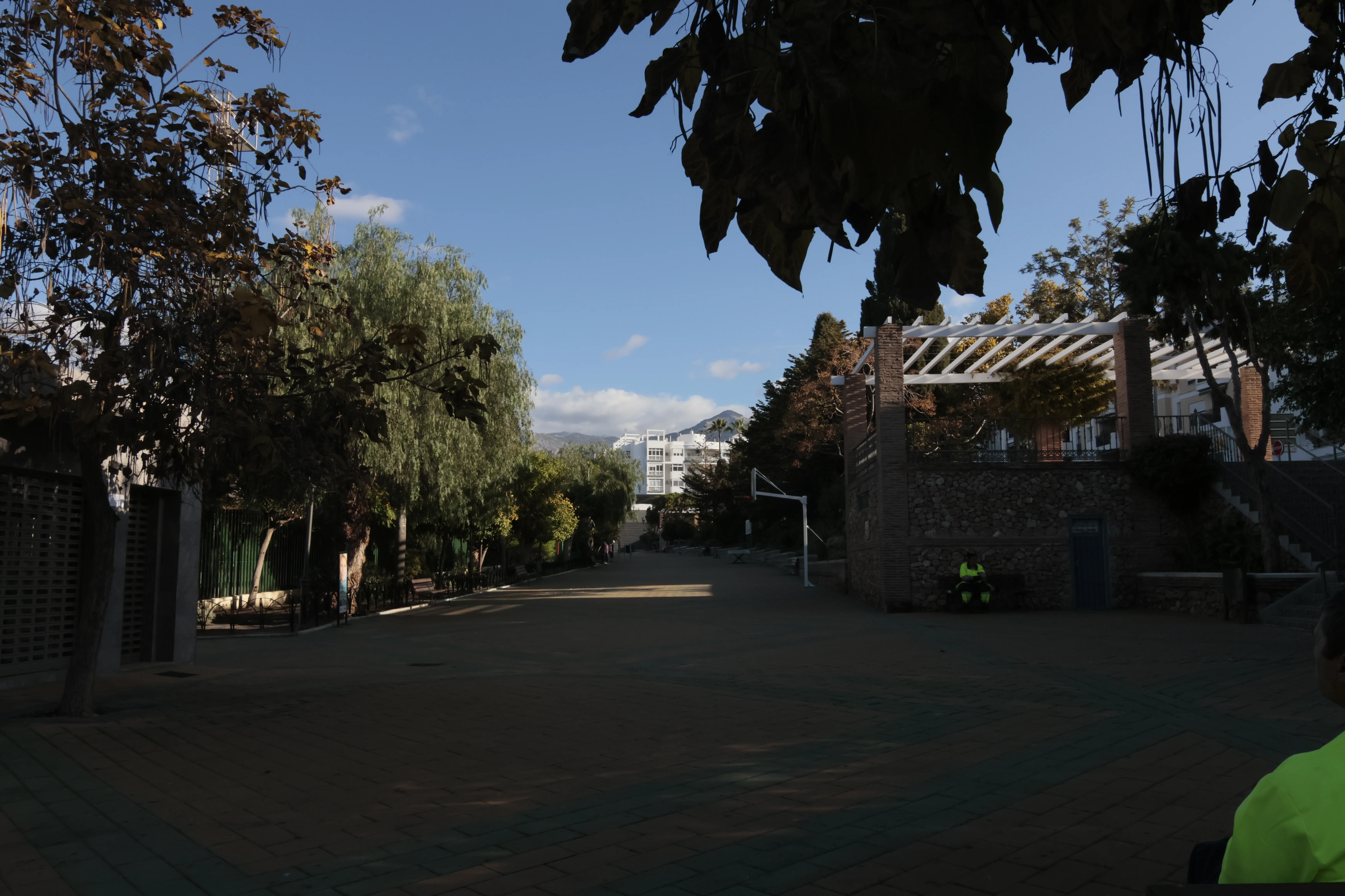 Tokina at-x 116 (EF) - _I4A3434.webp